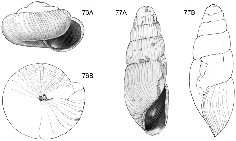 Figure 76–77.