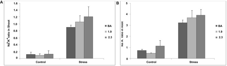 FIGURE 10