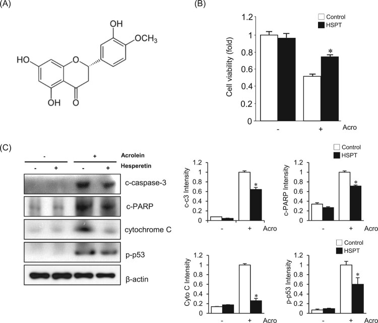 Figure
1.