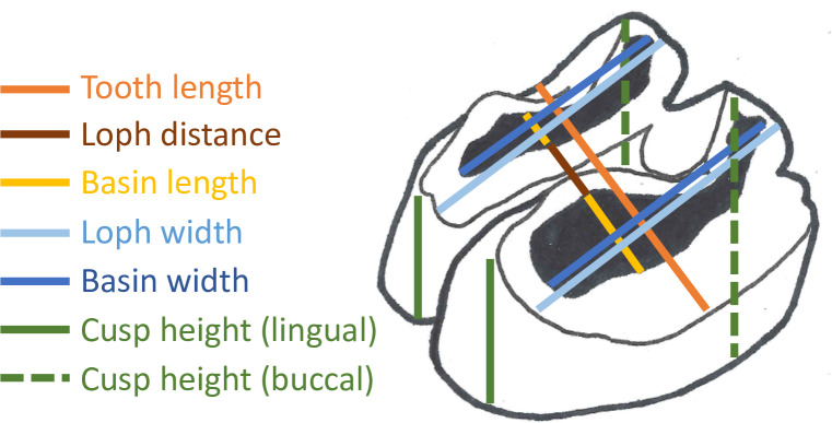 Fig 2