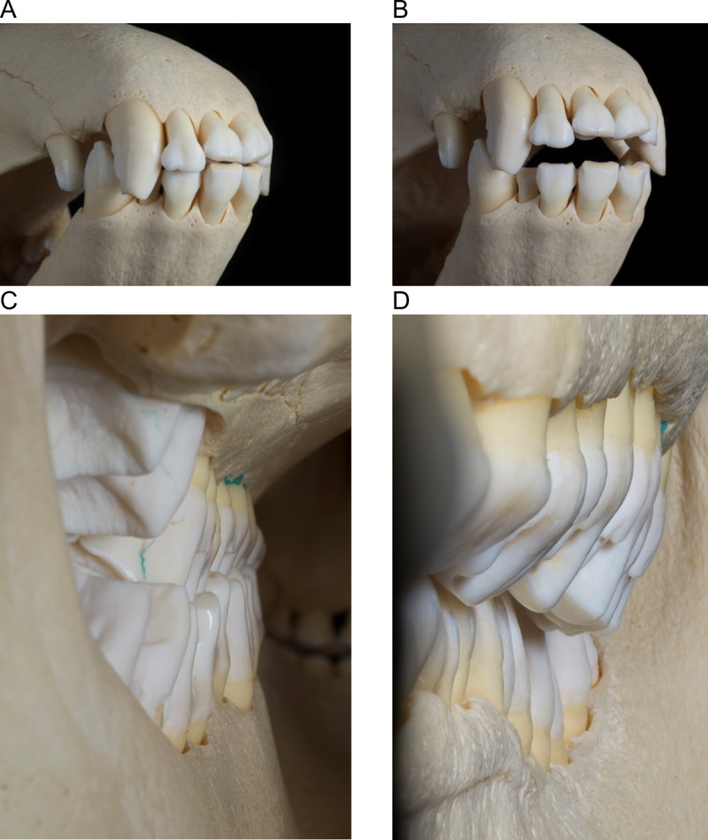 Fig 4