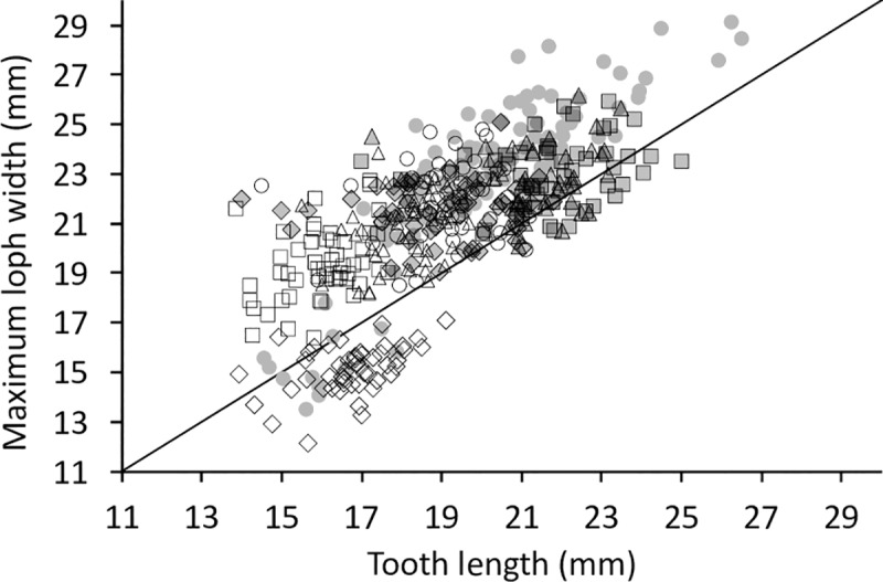 Fig 23