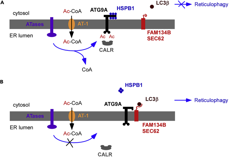 Figure 7