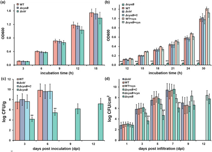 FIGURE 2