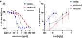 Figure describing the efficacy of izokibep compared with secukinumab and ixekizumab in in vitro assay in normal human dermal fibroblasts and in vivo in a C57 mouse model. (a) Figure showing the potency of izokibep, secukinumab, and ixekizumab in a normal human dermal fibroblast cell assay, stimulated with 64 pM IL-17A and 10 fM IL-1b. All compounds inhibited the IL-17A-induced IL-6 production in a dose-dependent manner. (b) Figure showing prevention of keratinocyte chemoattractant secretion by izokibep in response to stimulation by IL-17A in vivo.