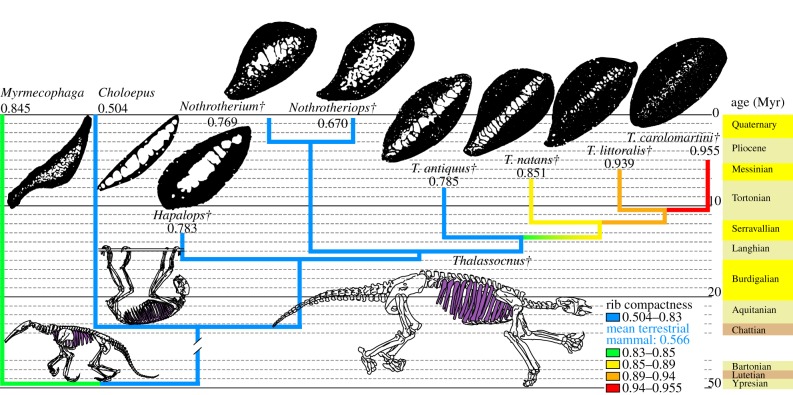 Figure 1.