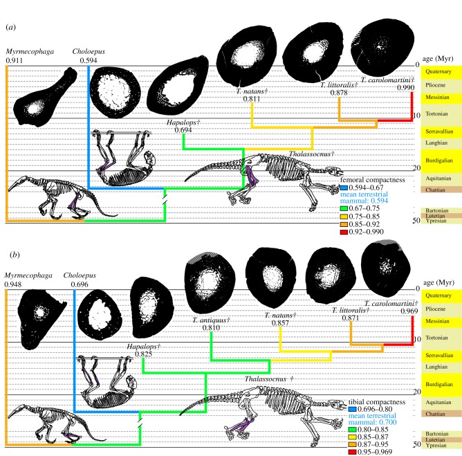 Figure 2.