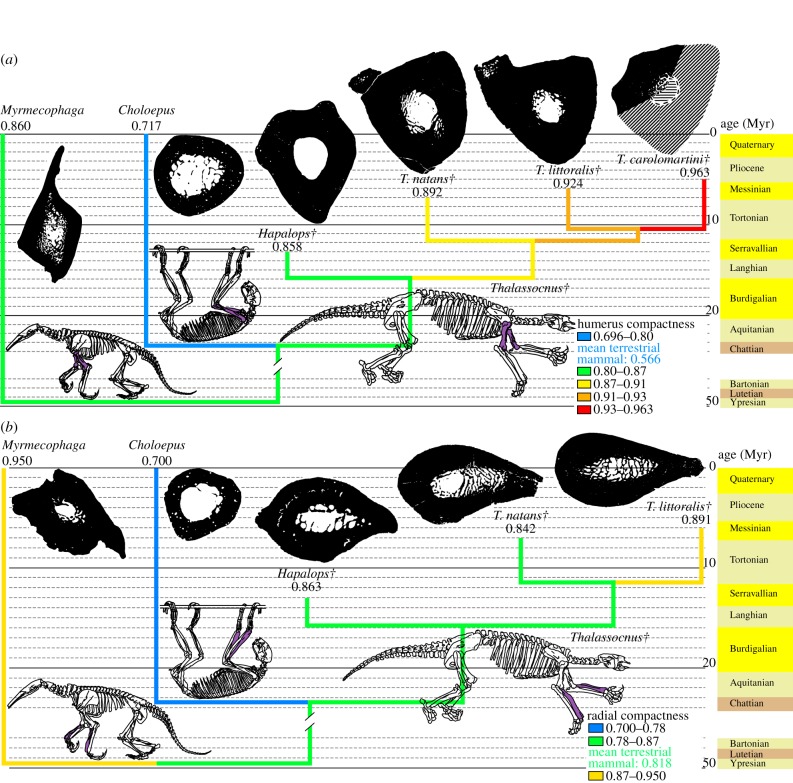 Figure 3.