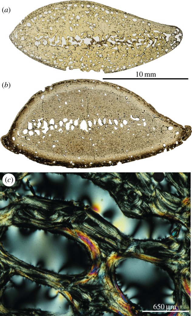 Figure 4.