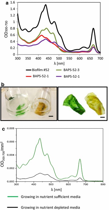 Fig. 2