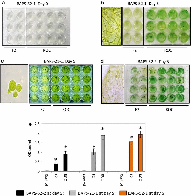 Fig. 8