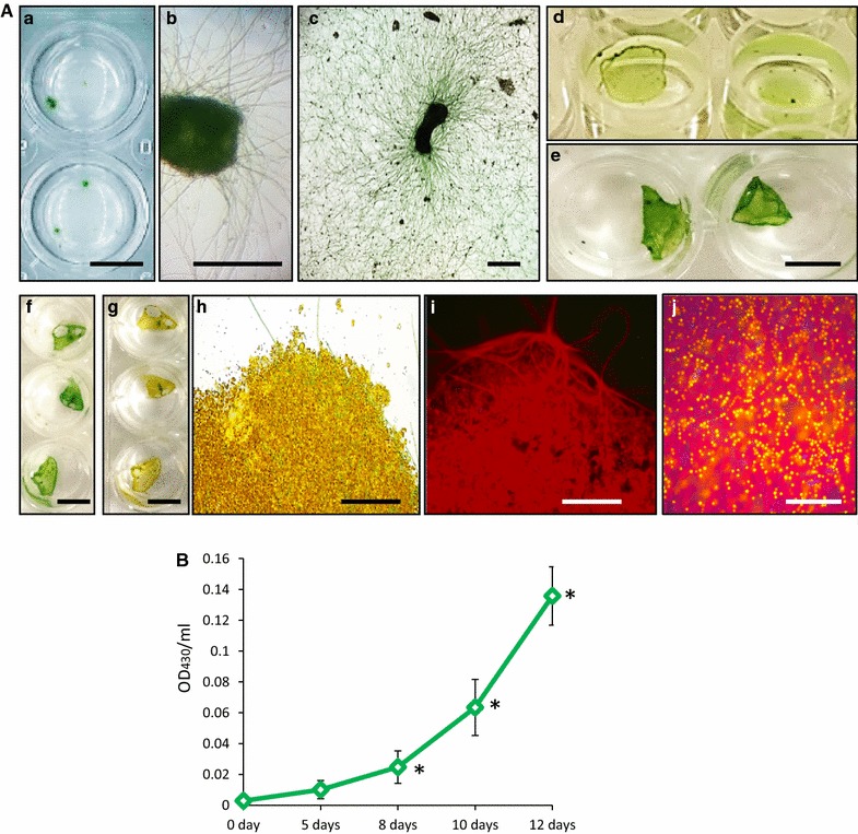 Fig. 3