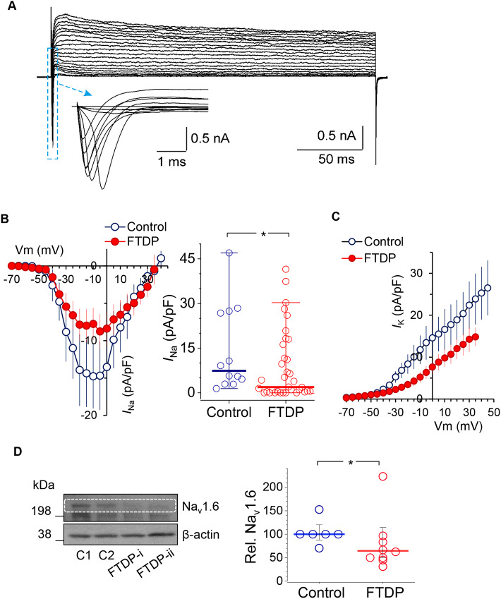 Fig. 6.