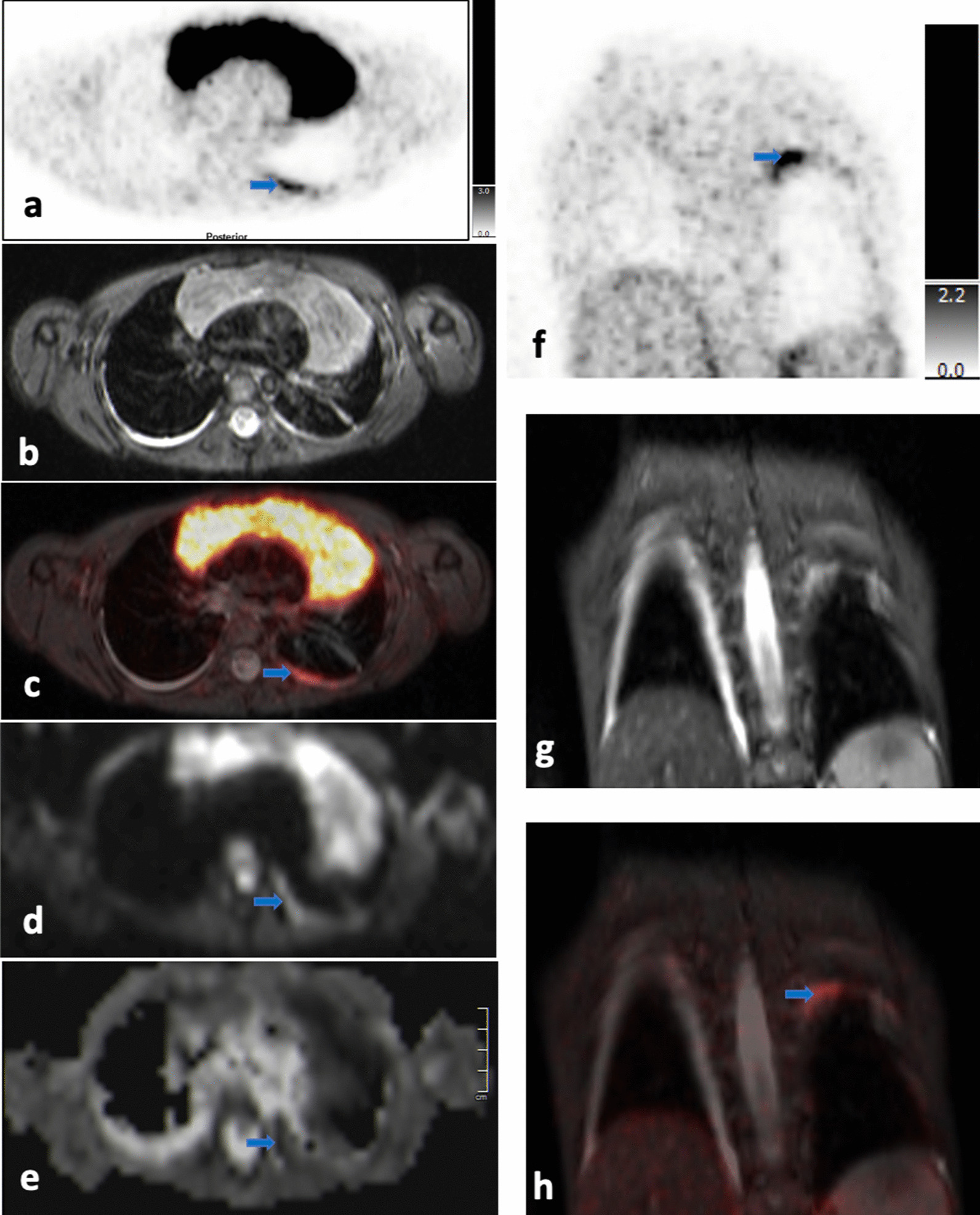 Fig. 5