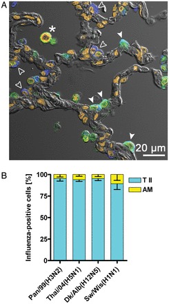 Figure 4.