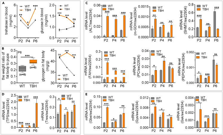 Figure 4