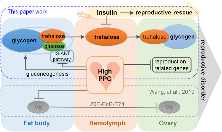 Figure 6