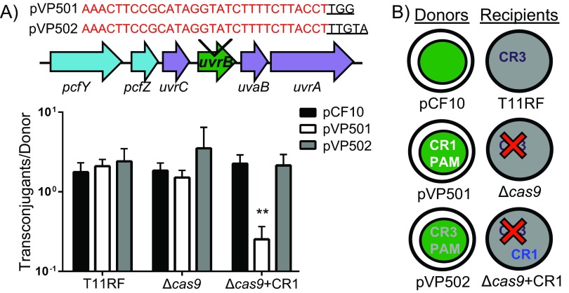 FIG 4 