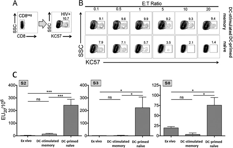 FIG 6 