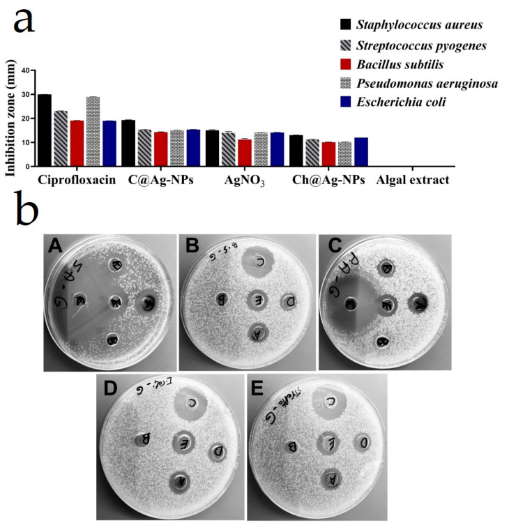 Figure 15