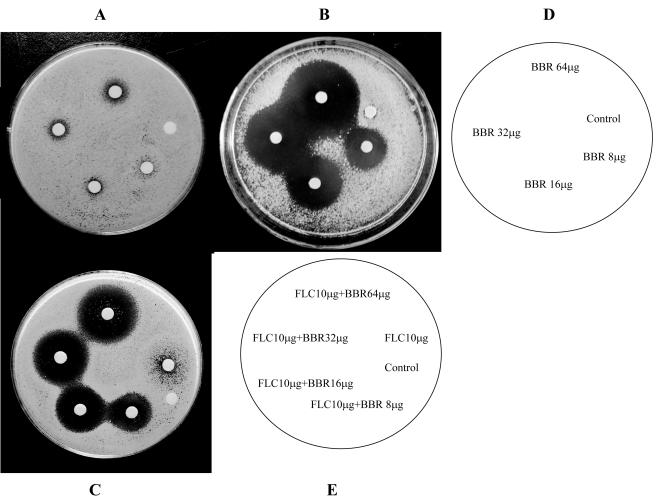 FIG. 1.