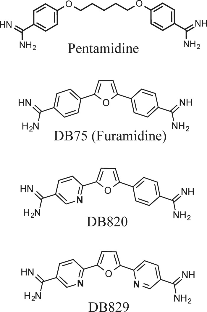 FIG 1