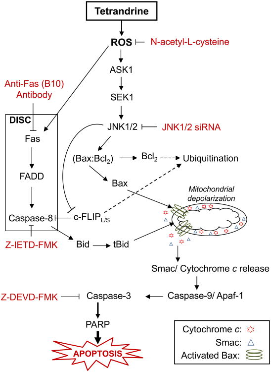 Fig. 11