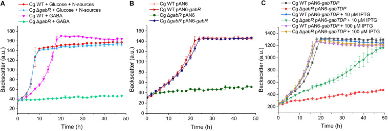 FIGURE 4