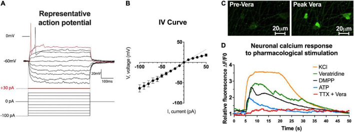 FIGURE 4