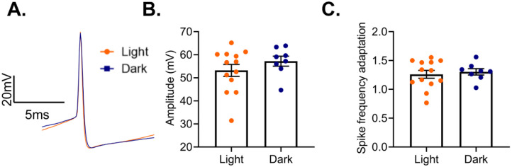 Figure 12.