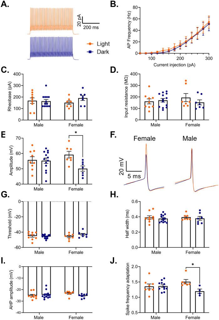 Figure 10.