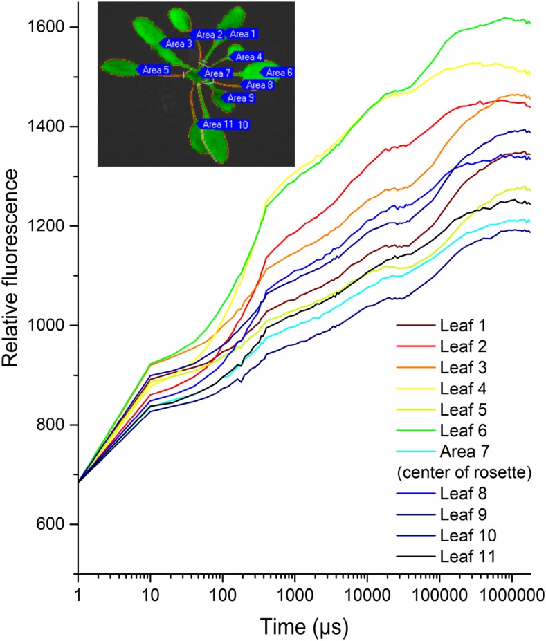 Figure 3.