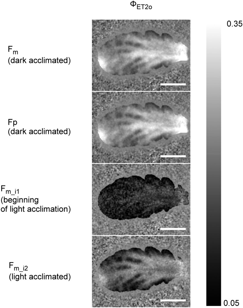 Figure 9.