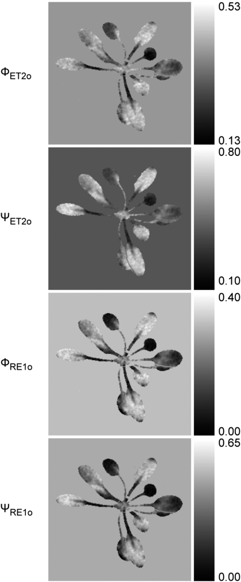 Figure 4.