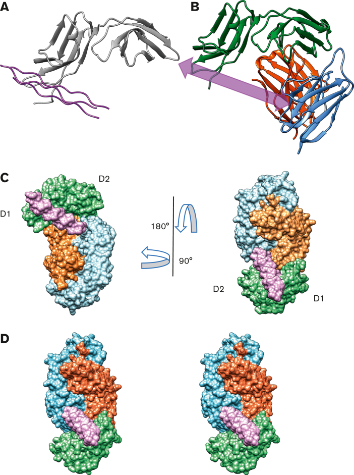 Figure 4.