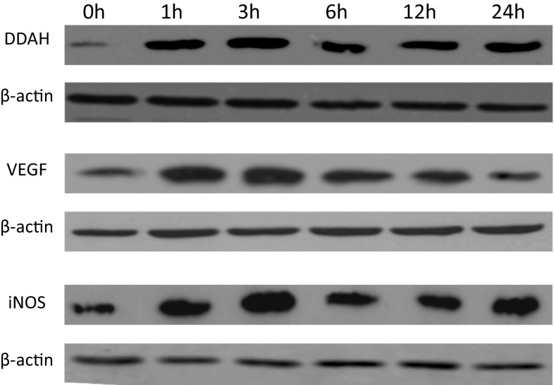 Fig. 5