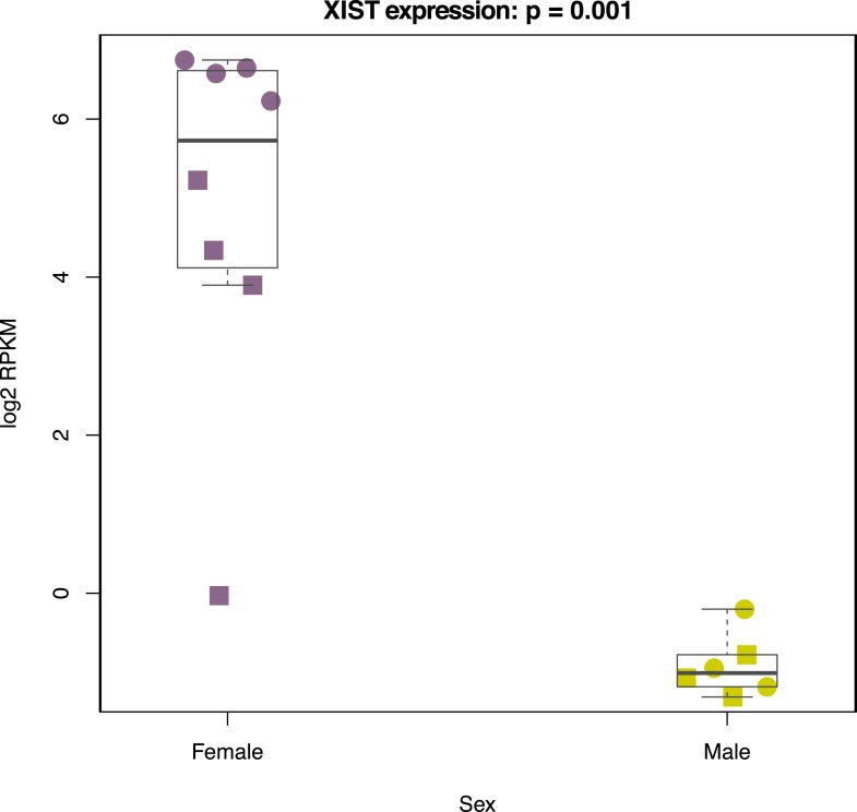 Figure 7—figure supplement 6.