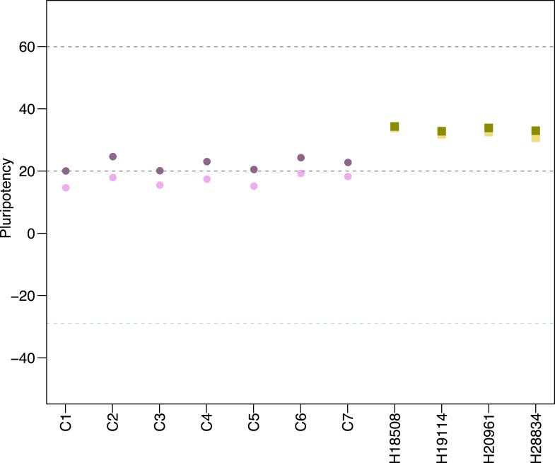 Figure 3—figure supplement 1.