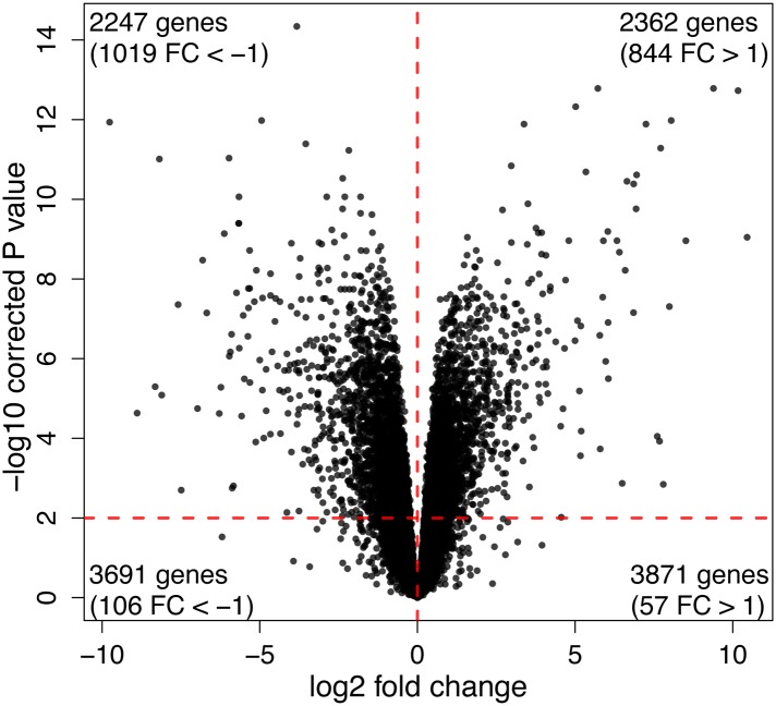 Figure 4—figure supplement 1.