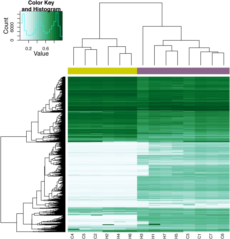 Figure 7—figure supplement 7.