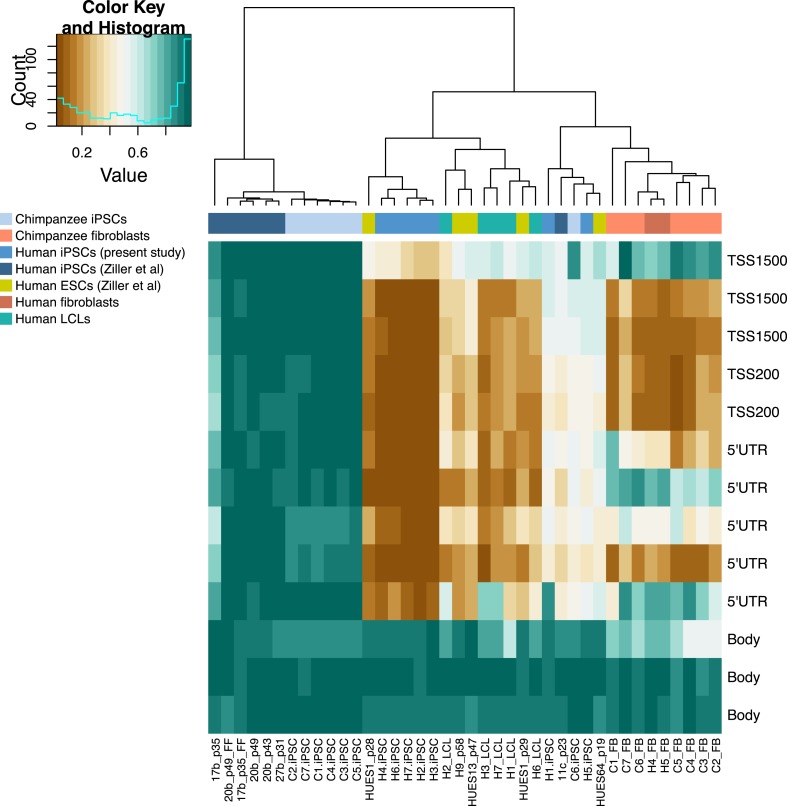 Figure 6—figure supplement 4.