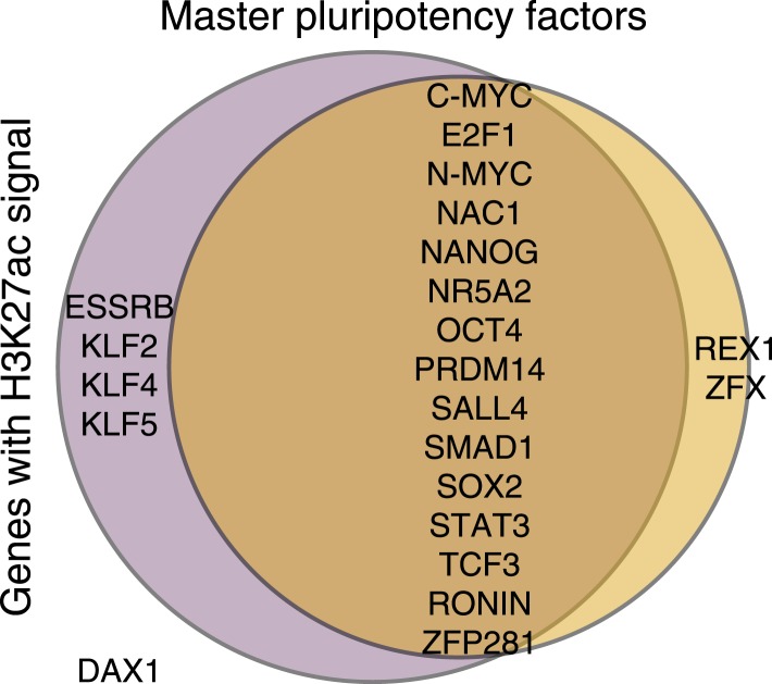 Figure 5—figure supplement 3.