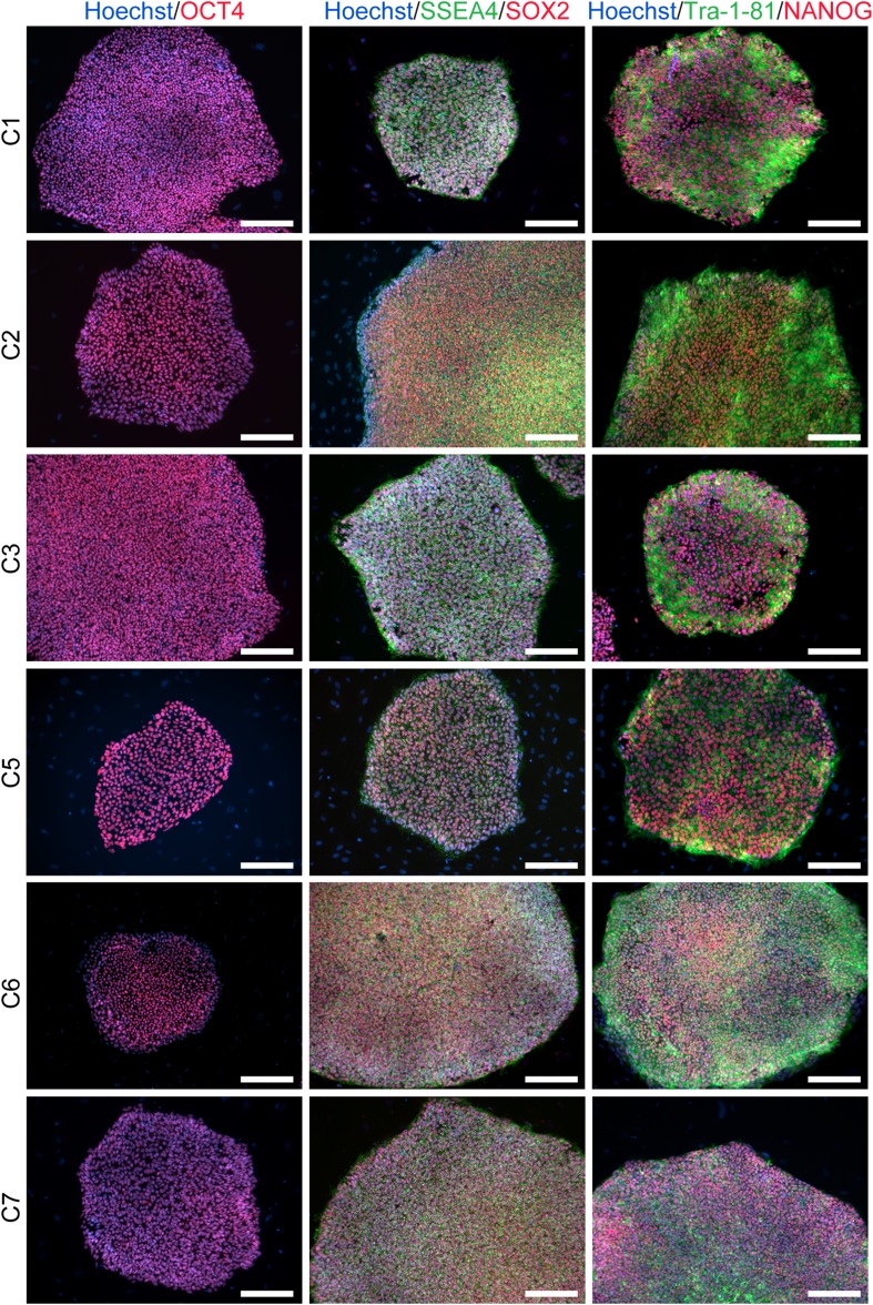 Figure 1—figure supplement 2.