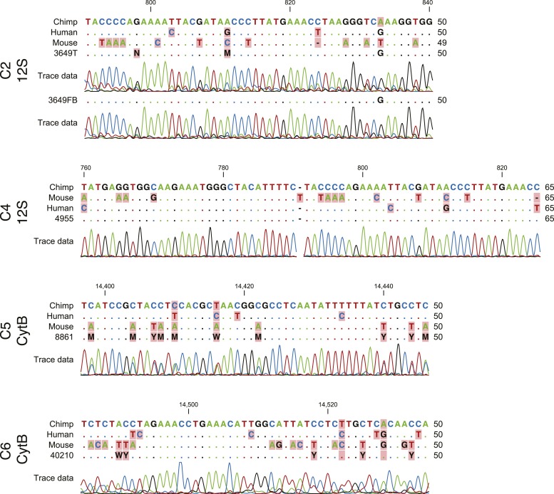 Figure 2—figure supplement 4.