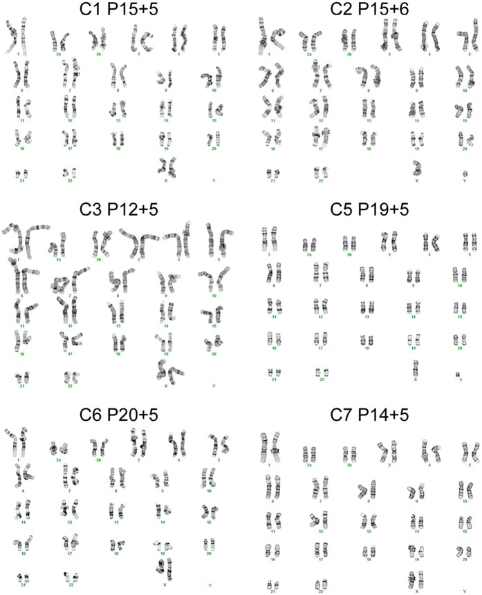 Figure 1—figure supplement 1.