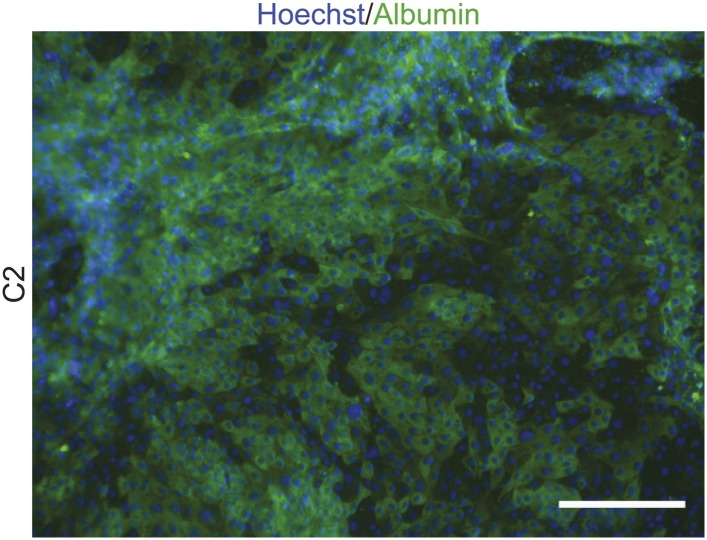 Figure 2—figure supplement 2.