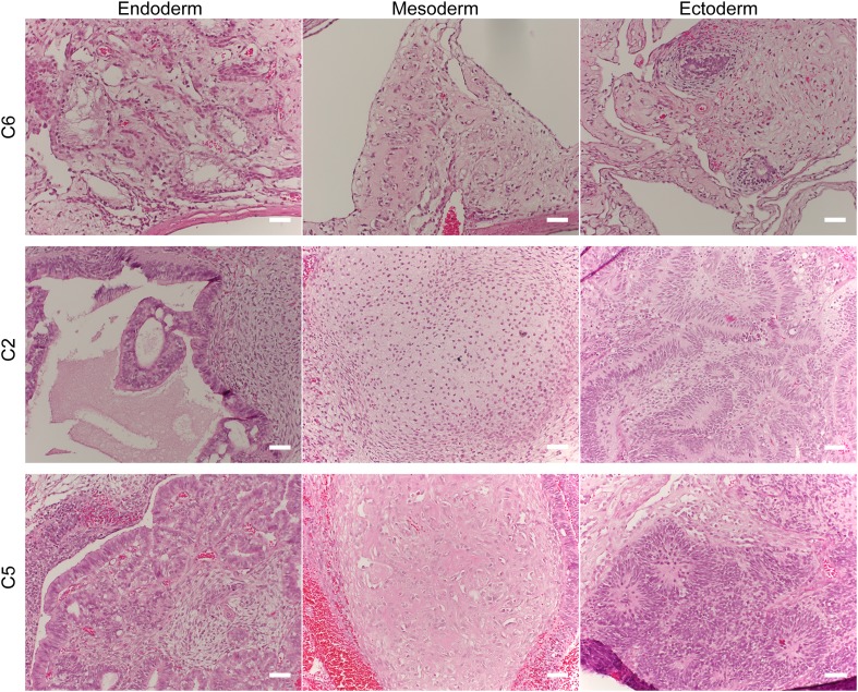 Figure 2—figure supplement 3.