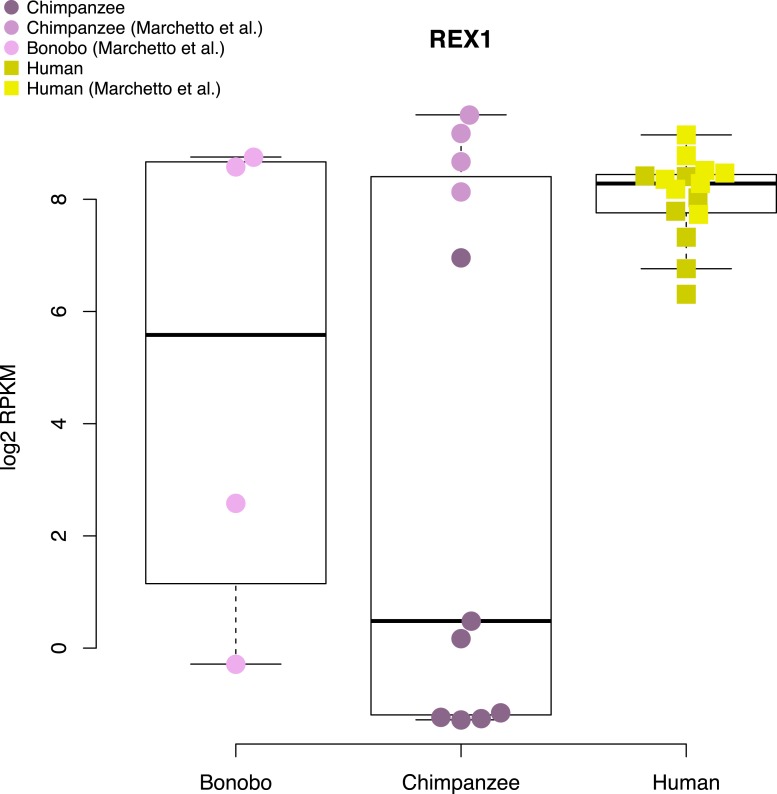 Figure 6—figure supplement 2.