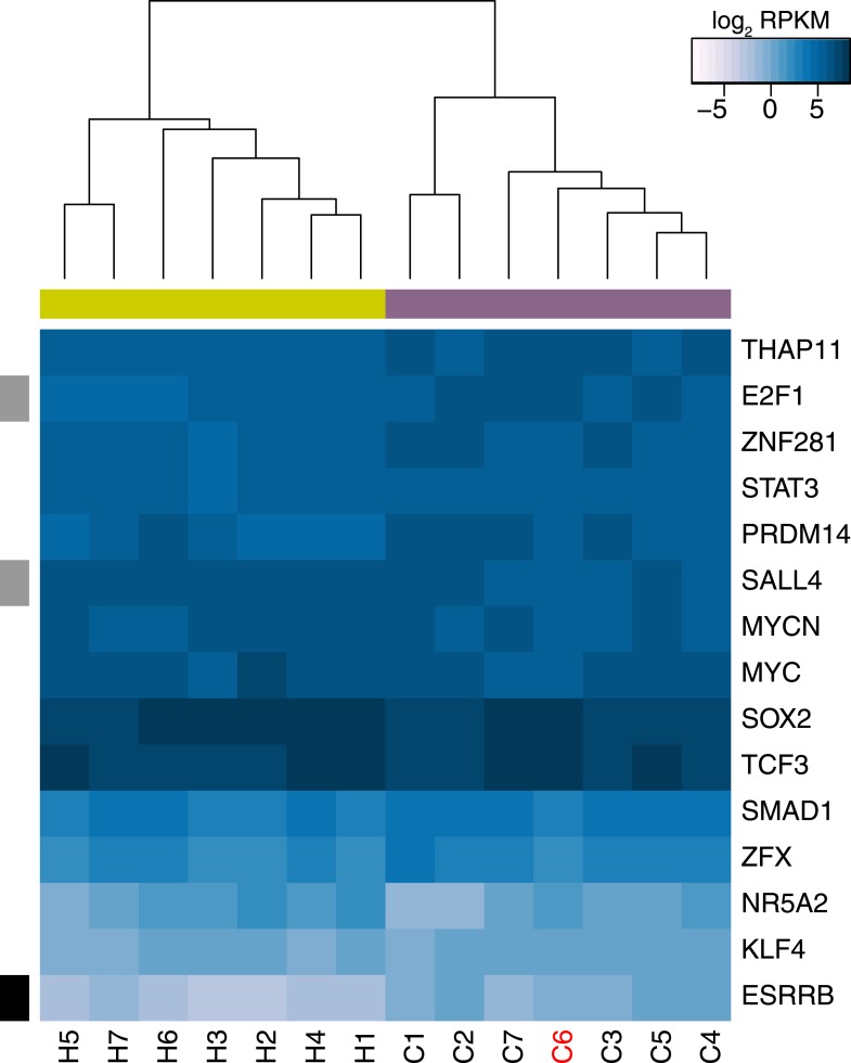 Figure 6—figure supplement 1.