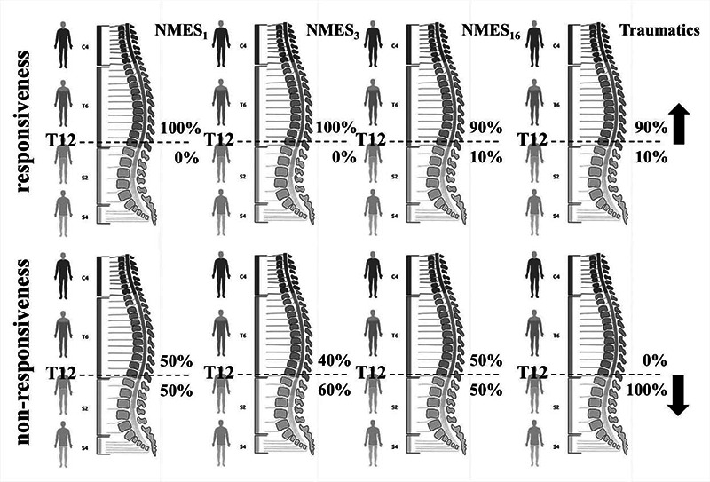 Fig 2.